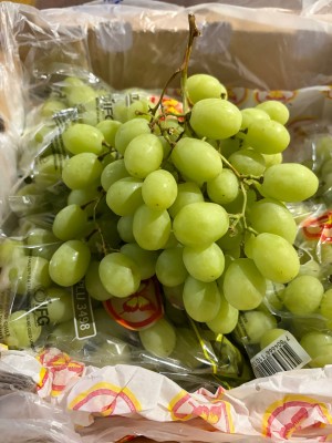 Foto Uva Bianca Varietà Sweet Globe Calibro j Origine Chile Marchio Zeyco 2